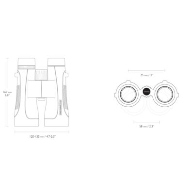 hawke-endurance-ed-10x50-binocular-fernglas-schwarz-black-blackeagle-outdoors-36208 (3)