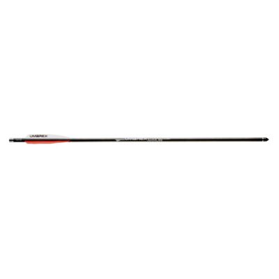 umarex-airsaber-pfeile-pfeilgewehr-blackeagle-outdoors-2-2337 (2)